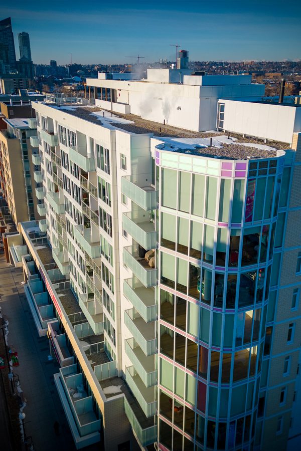 The-Theodore-Calgary